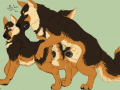 1478450057.znewnav_qnjaprfg.cat.png